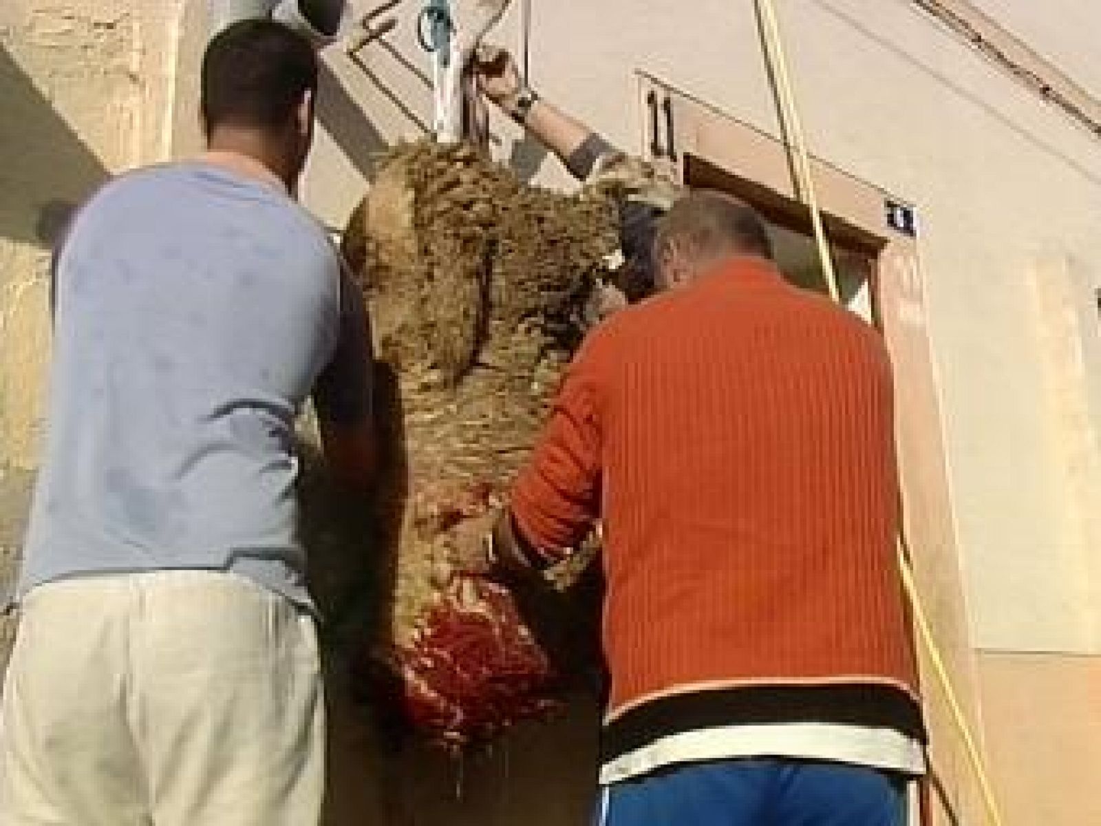 Noticias de Melilla - 19/11/10