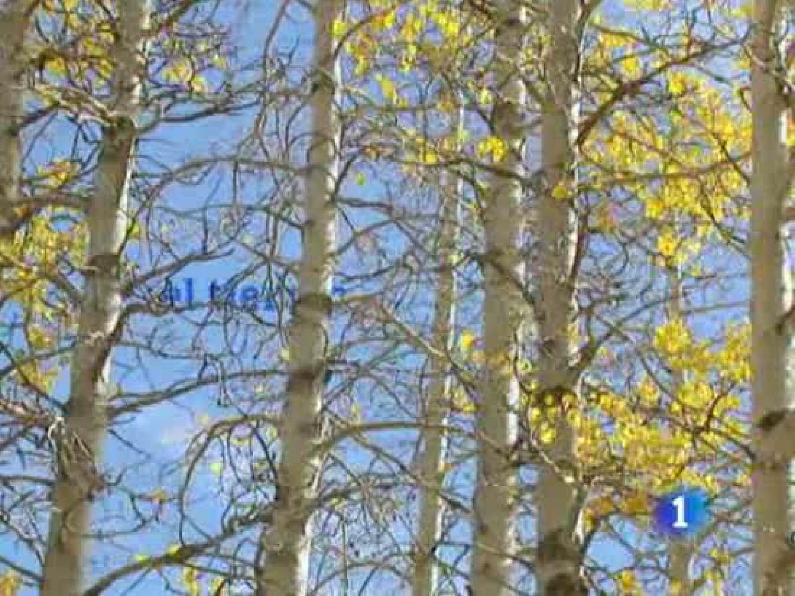 Más nubes en el oeste, lluvia en el sur y frío en todo el país