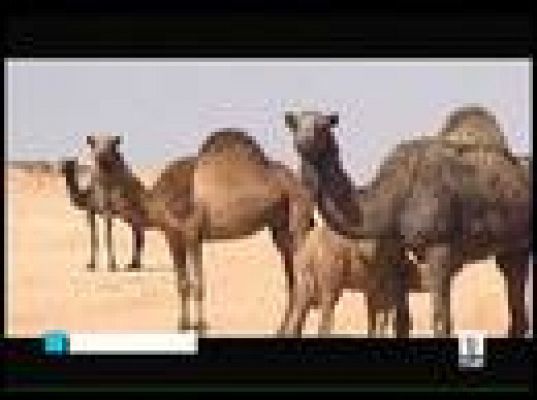  - Tres operas primas