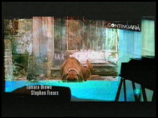 Continuarà... - Agenda cultural, 23-30 de novembre