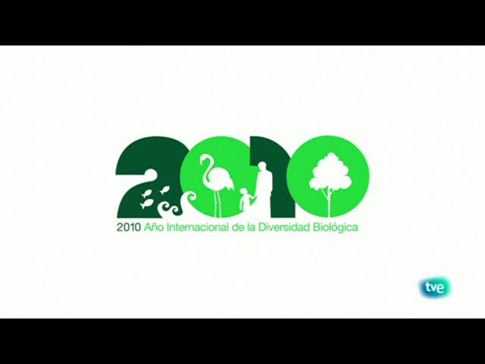 Biodiario - En otoño, rojos, ocres, dorados. - Biodiario | Ver