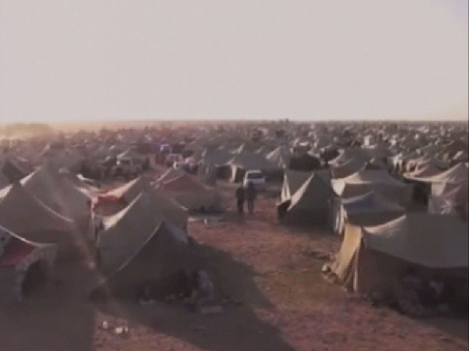 El Frente Polisario se ha mostrado satisfecho por el acuerdo aprobado por el Parlamento Europeo