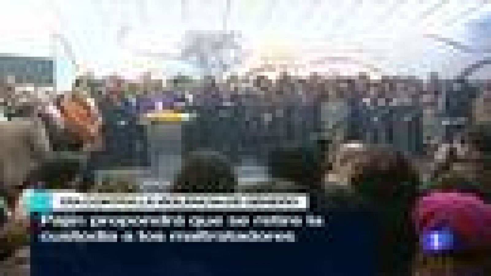 Telediario 1 - 25/11/10 | Ver