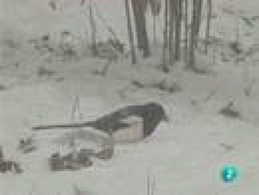  - Un bloque de apartamentos