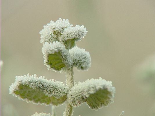 El tiempo - El Tiempo - 26/11/10