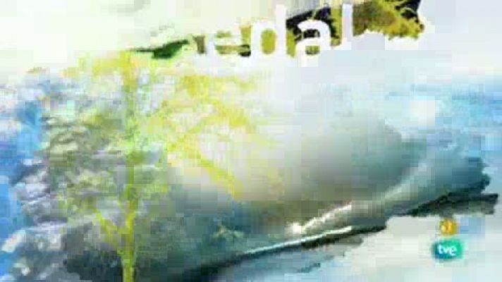 Jara y sedal - Campeonato de pesca al curricán