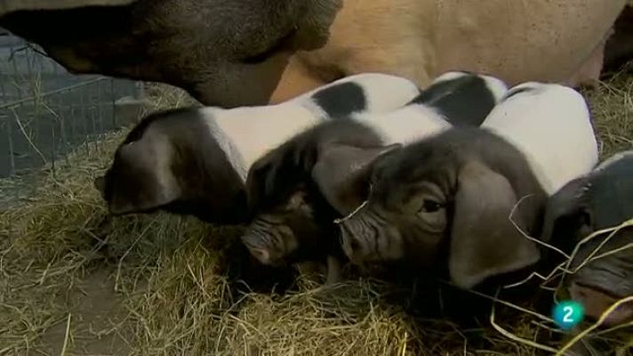 Biodiario - Biodiario - 27/11/10