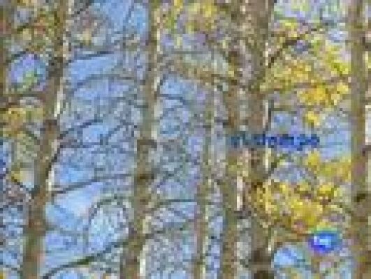 El tiempo - El Tiempo - 28/11/10