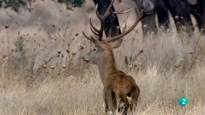 Biodiario - Biodiario - 28/11/10