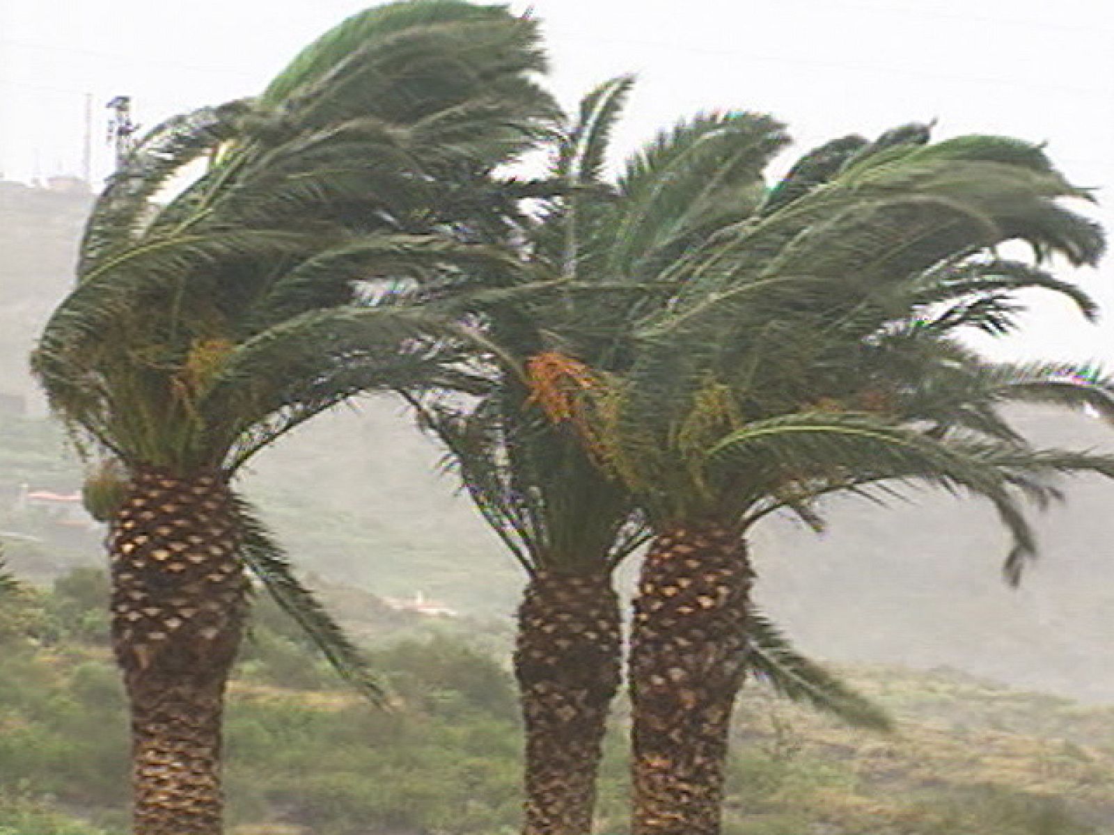 Ningún centro docente ha podido abrir hoy sus puertas en Canarias debido a mal tiempo