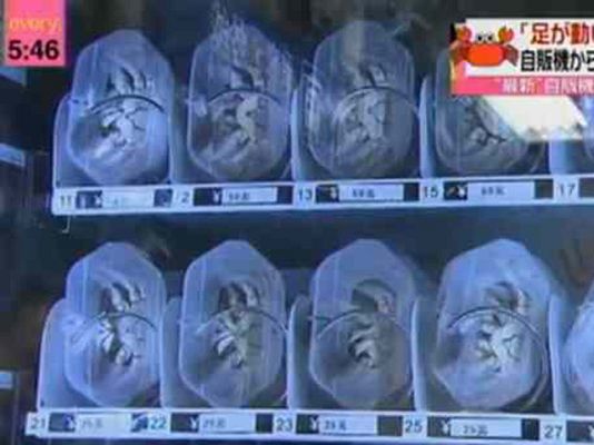 On Off - Cangrejos en el metro