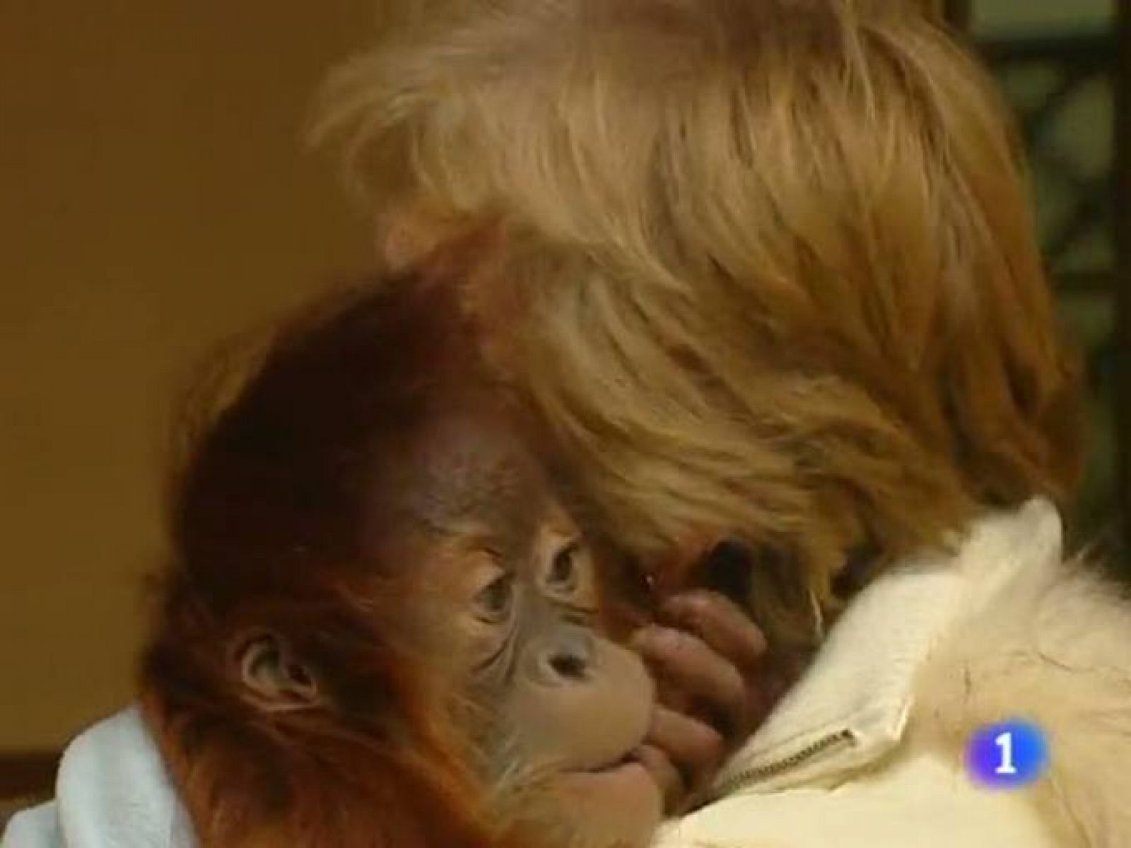 Telecantabria-01/12/10