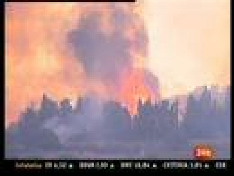  Las llamas devoran el monte Carmel, en Haifa, en el norte de Israel. El incendio más grave de la historia del país está todavía incontrolado. Los equipos de rescate luchan por sofocar el fuego que ha obligado a evacuar centenares de edificios, entre