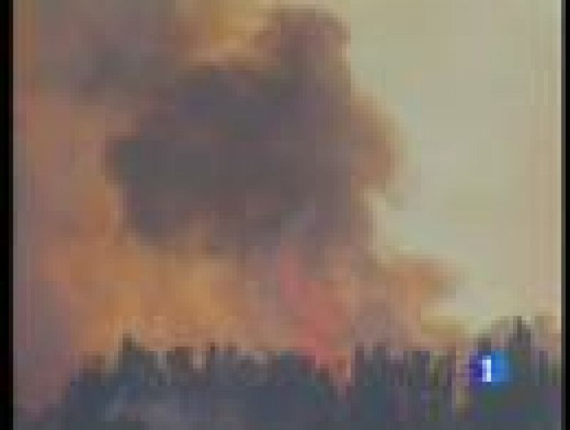 Tragedia en Israel: 40 muertos en el peor incendio forestal de su historia