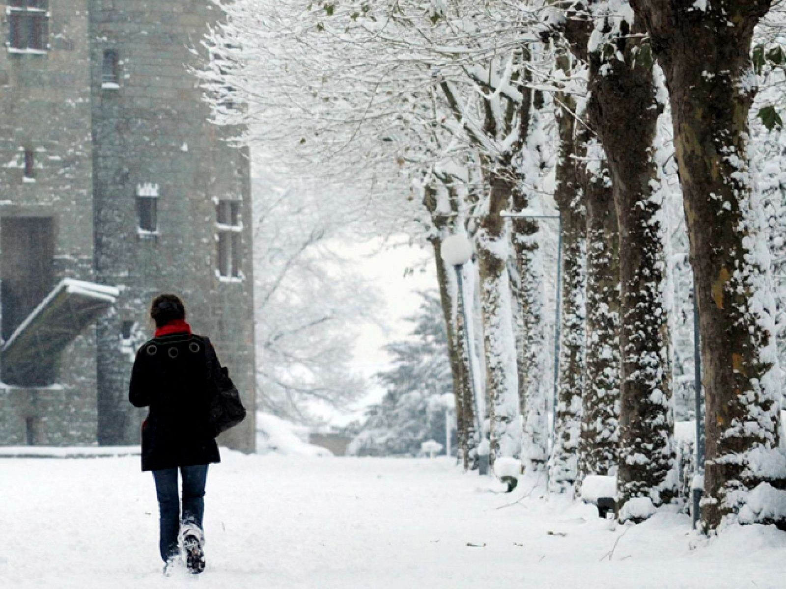 Telediario matinal en cuatro minutos- 03/12/10