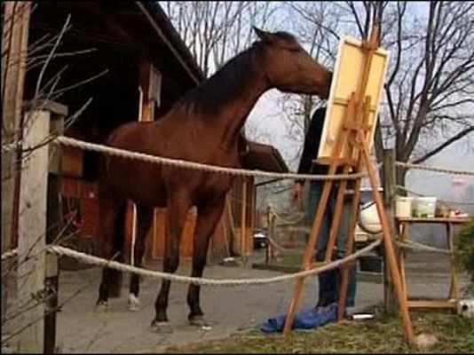 On Off - Maceba, la yegua pintora