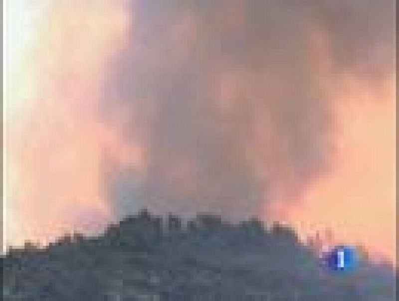 Israel pide ayuda internacional para sofocar el incendio del Parque Nacional de Monte Carmelo  