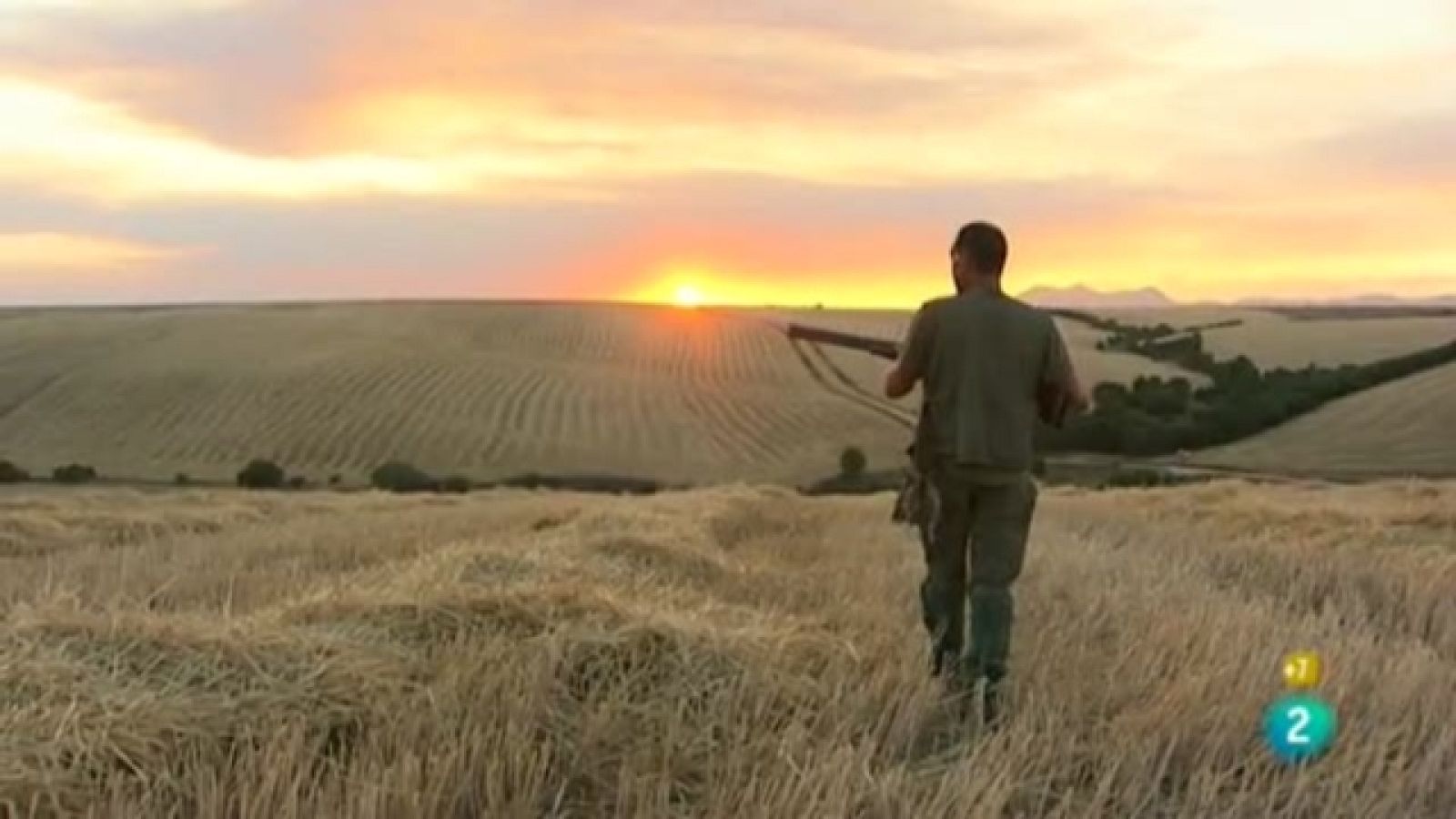 Jara y sedal - Luces de media veda - Jara y sedal | Ver
