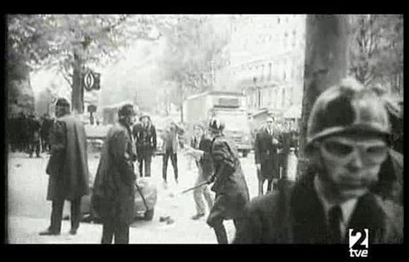 La mandrágora - 24/05/08 - La mandrágora | Ver