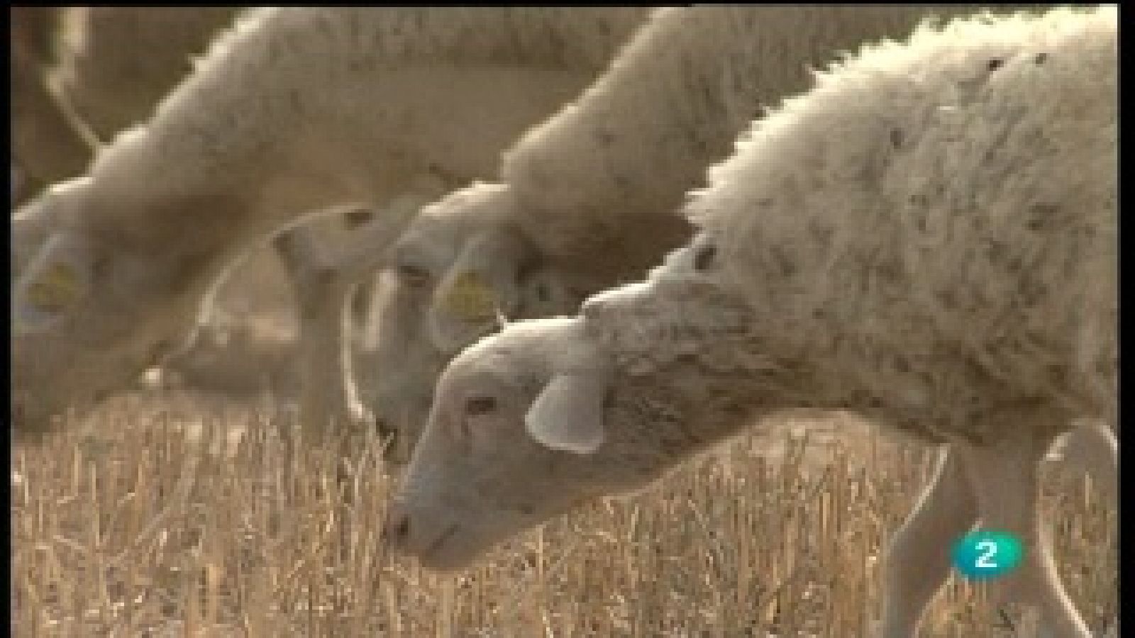 Agrosfera - 04/12/10 - Agrosfera | Ver