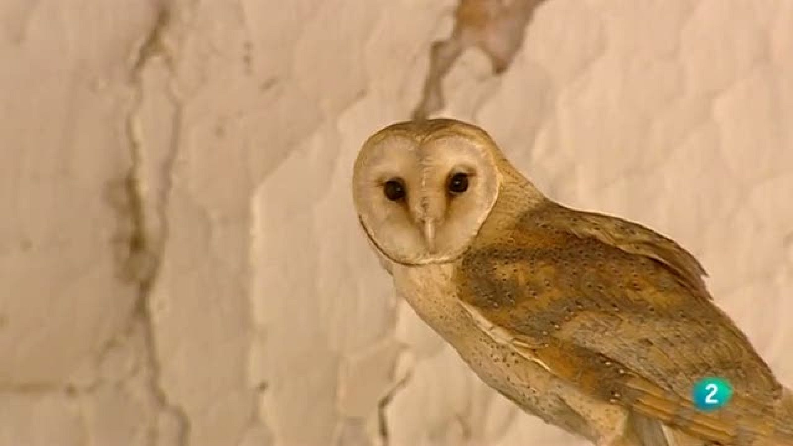 Biodiario - 07/12/10 - Biodiario | Ver