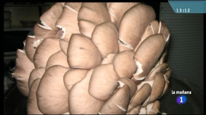 La mañana - La mañana de La 1 - 07/12/10