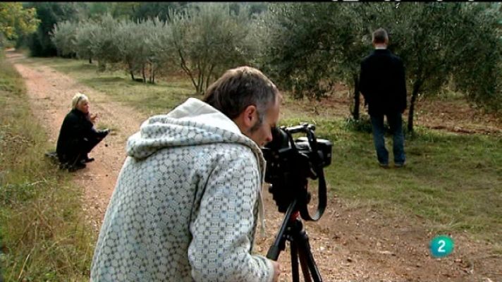 Miradas 2 - Miradas 2 - 07/12/10