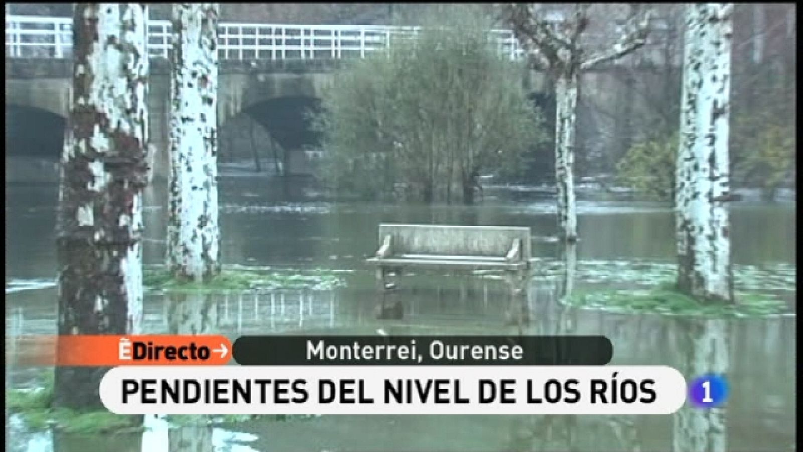 España Directo - 08/12/10 - España Directo | Ver