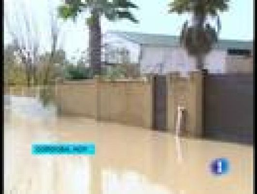 Telediario 1 - Posible desborde del Guadalquivir