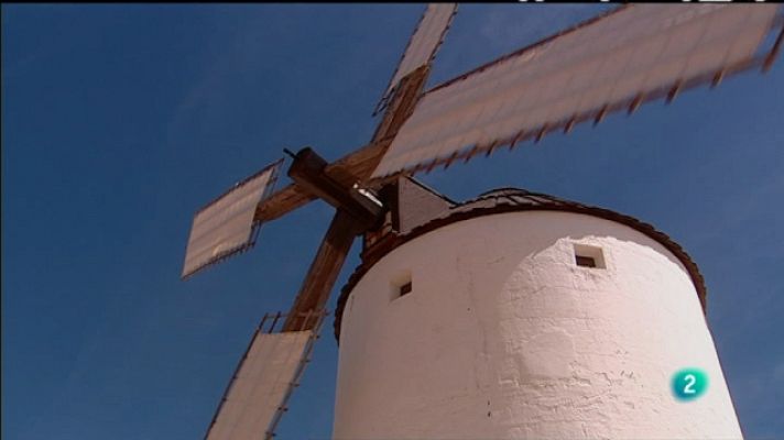 Biodiario - La víbora hocicuda
