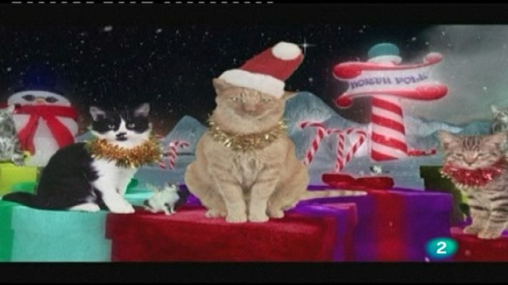 La 2 Noticias - La 2 Noticias - 09/12/10