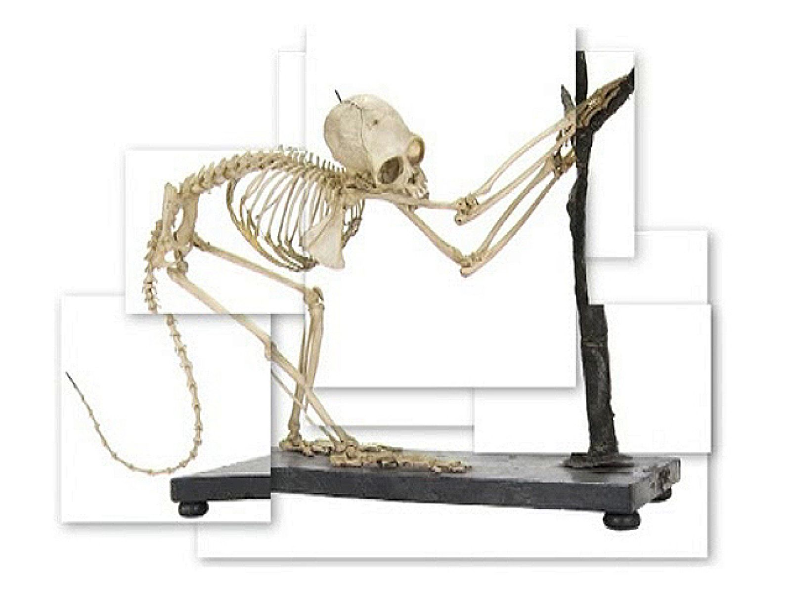 UNED - Noticias - Innovaciones educativas: del pasado al futuro | Ver