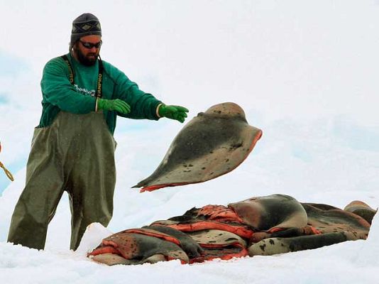 Ciencia y tecnología en Rtve.es - Día de los derechos de los animales