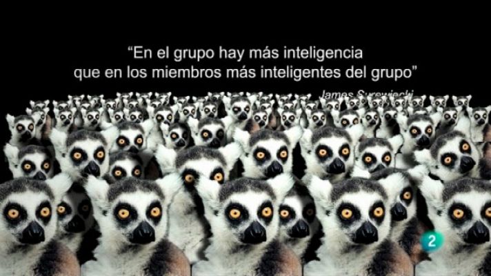 Soy cámara. El programa del CCCB - Innovaciones