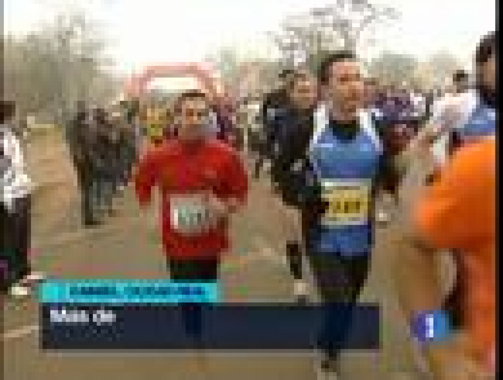 Los aficionados al atletismo se echaron a la calle a pesar de la 'Operación Galgo' contra el dopaje, que ha conmocionado a este deporte. En Castellón se pudo ver a ilustres como Chema Martínez