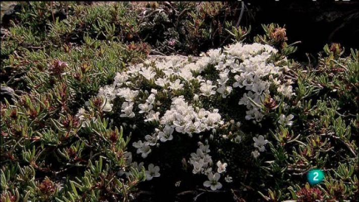 Biodiario - Biodiario - 12/12/10