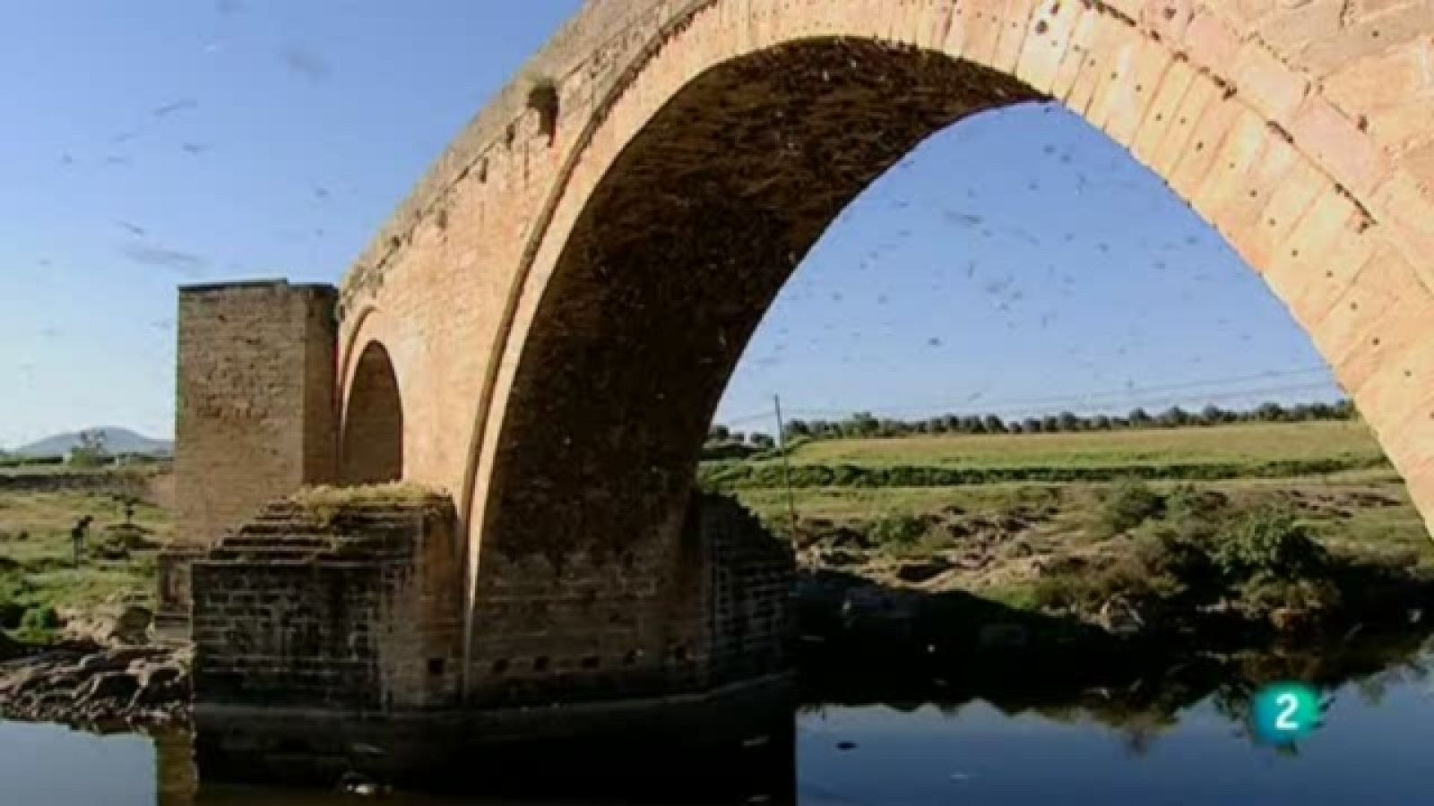 Biodiario - 13/12/10 - Biodiario | Ver