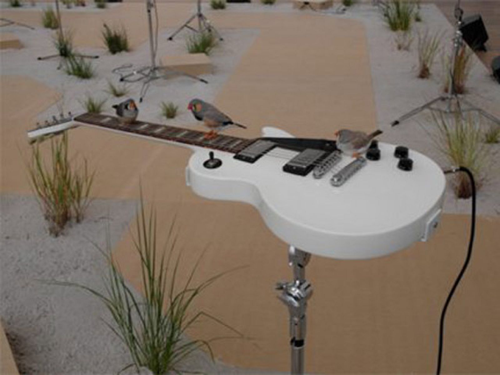 On Off: Arte efímero en Madrid - On Off | Ver