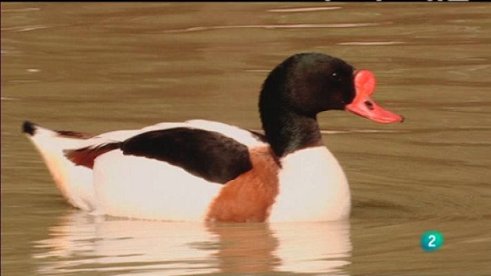 Biodiario - Biodiario - 14/12/10