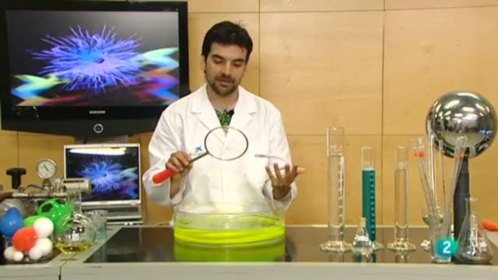 La aventura del saber - 15/12/10 - La aventura del Saber | Ver