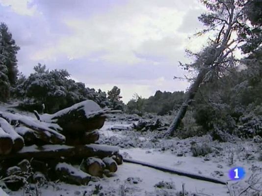 Informatiu Balear - Informatiu Balear - 15/12/10