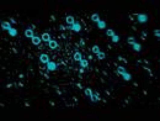 Cultura en Rtve.es - 'Historias de la edad de oro'