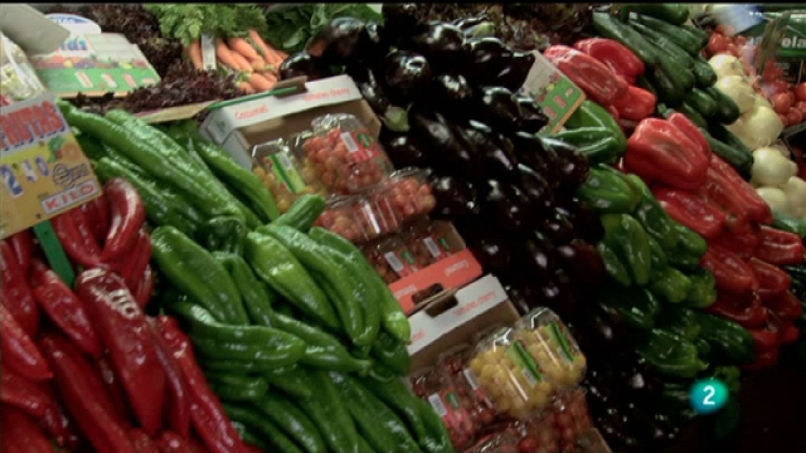 Biodiario - 16/12/10 - Biodiario | Ver