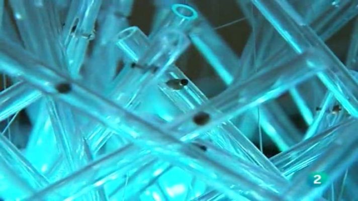 Universo UNED - UNED - 17/12/10