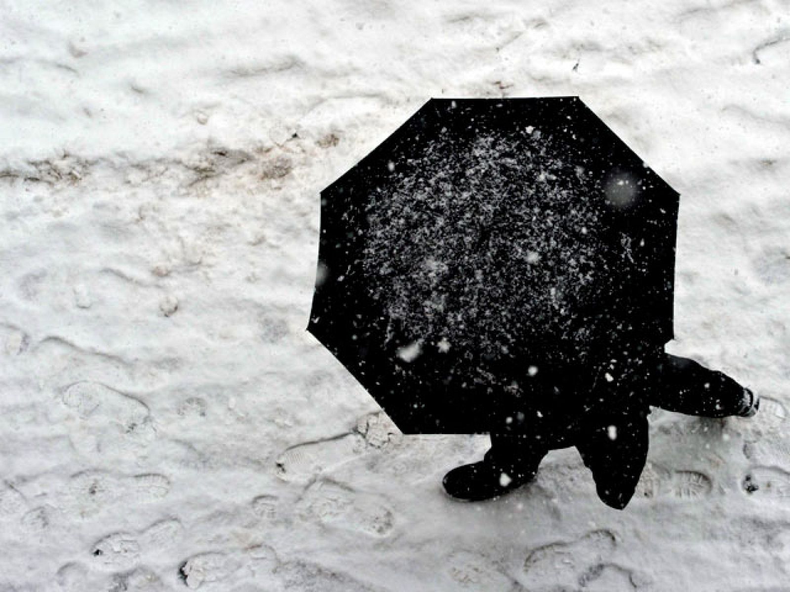 El temporal castiga el centro de Europa | Ver