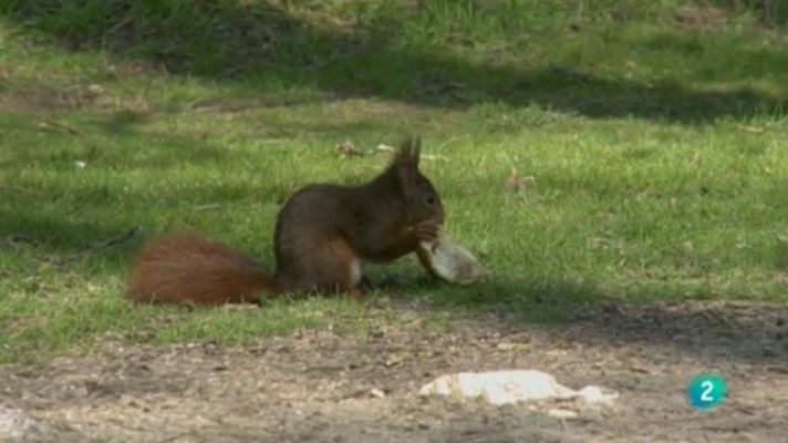 Biodiario - Biodiario - 17/12/10