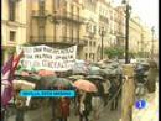  - Manifestaciones en España