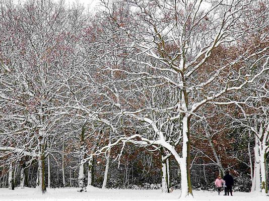  - Telediario en cuatro minutos