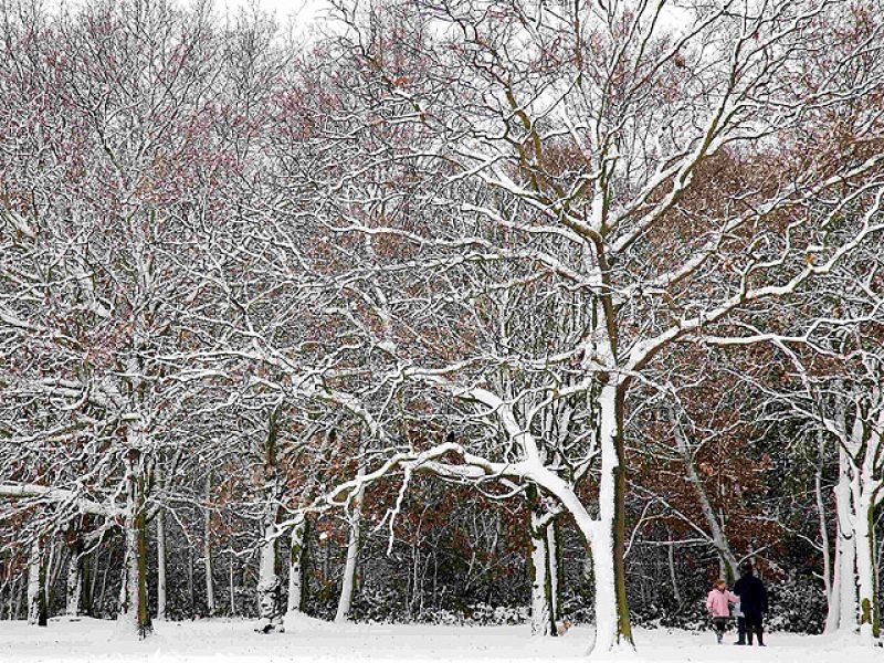  Telediario en cuatro minutos (18/12/2010)