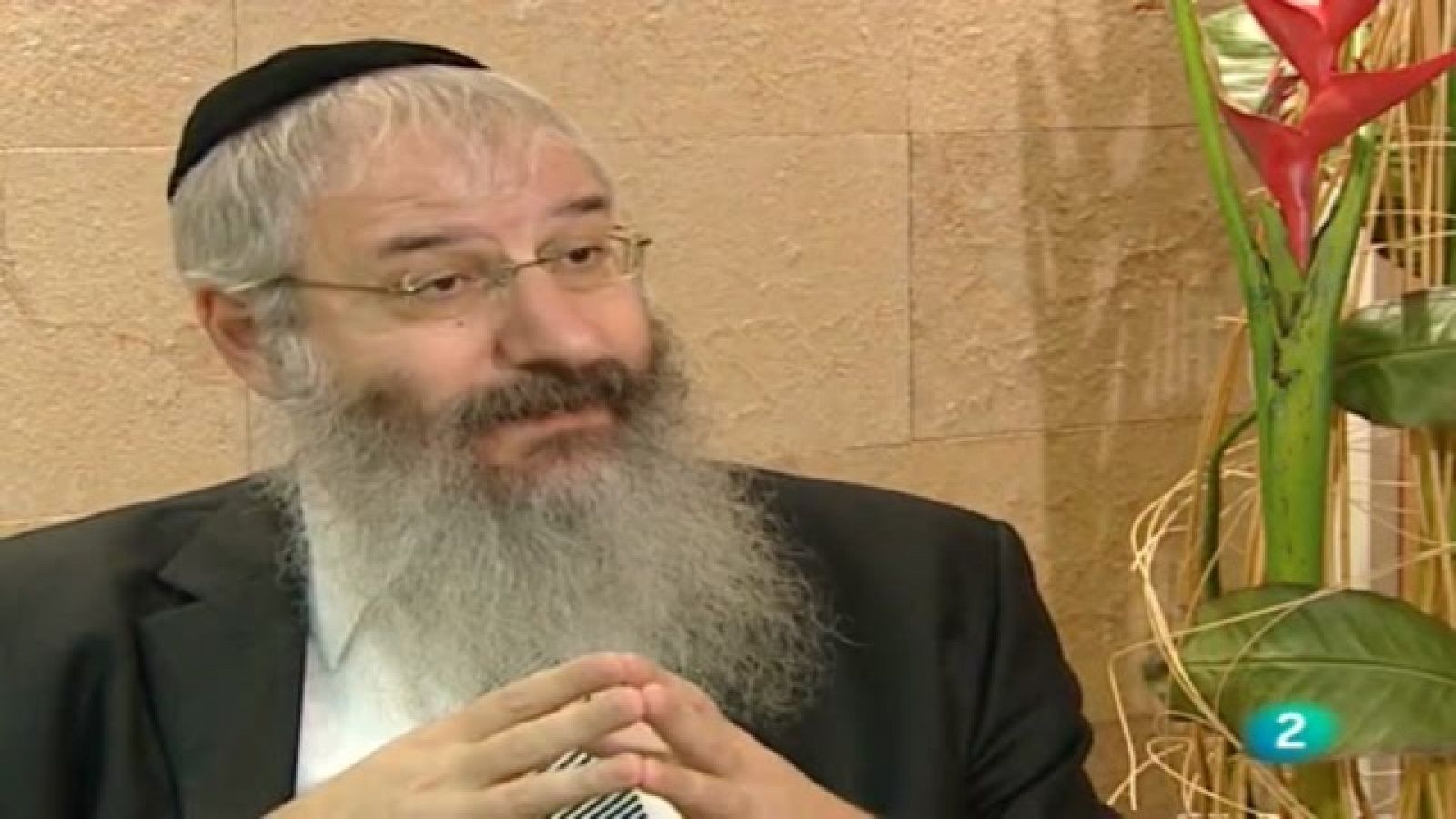 Shalom - El Centro Kelter Maljut - Shalom | Ver